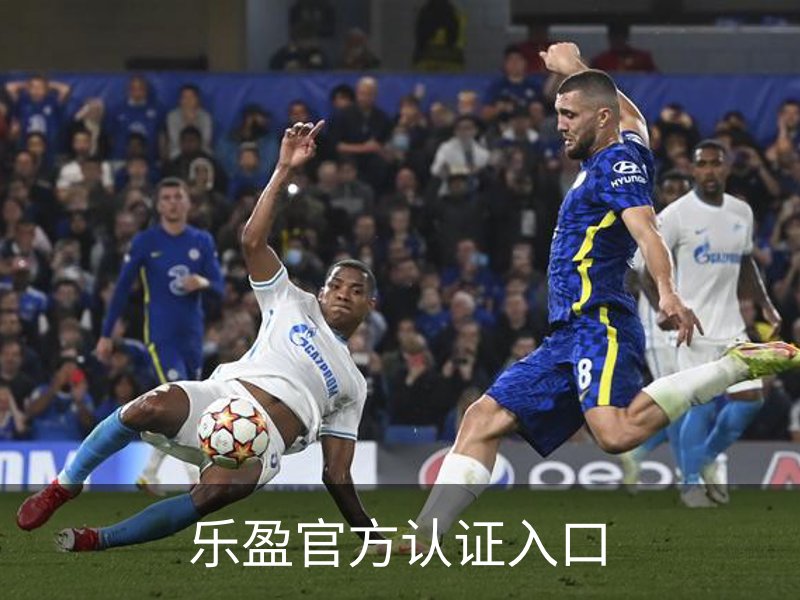 乐盈官方认证入口简介